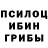 Псилоцибиновые грибы Psilocybe memanuel2