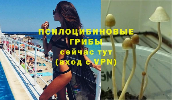 молекула духа Алзамай