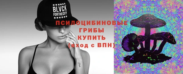 молекула духа Алзамай
