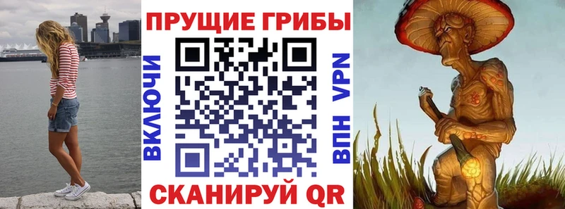 Псилоцибиновые грибы GOLDEN TEACHER  Учалы 